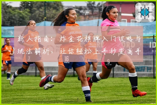新人指南：炸金花棋牌入门攻略与玩法解析，让你轻松上手秒变高手