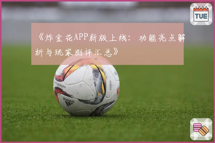 《炸金花APP新版上线：功能亮点解析与玩家测评汇总》