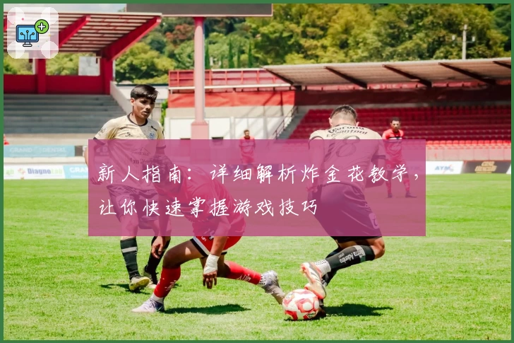 新人指南：详细解析炸金花教学，让你快速掌握游戏技巧