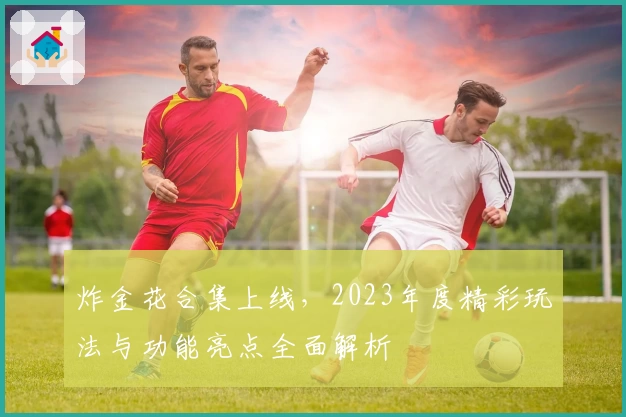 炸金花合集上线,2023年度精彩玩法与功能亮点全面解析