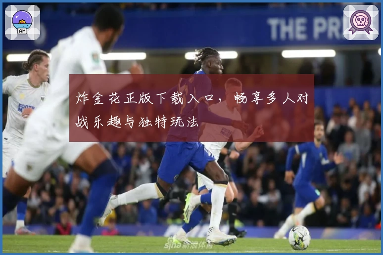 炸金花正版下载入口，畅享多人对战乐趣与独特玩法