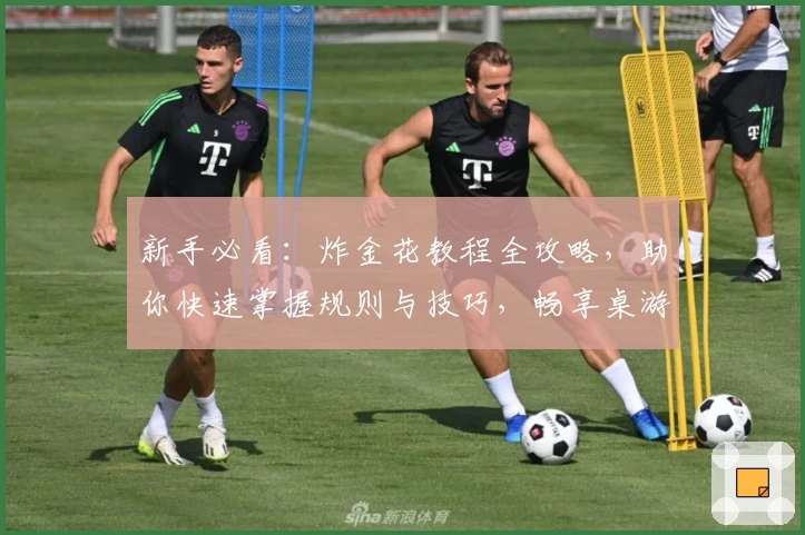 新手必看:炸金花教程全攻略,助你快速掌握规则与技巧,畅享桌游乐趣