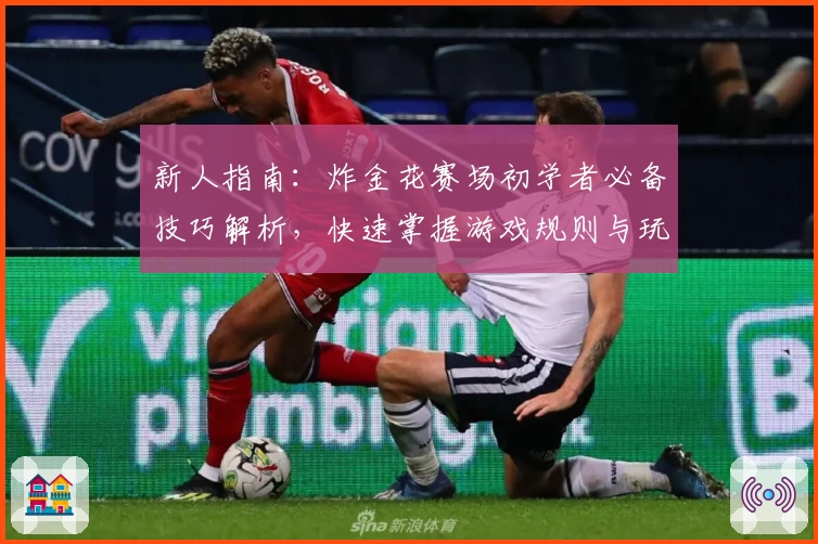 新人指南:炸金花赛场初学者必备技巧解析,快速掌握游戏规则与玩法诀窍