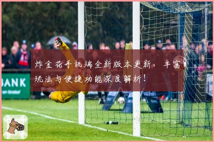 炸金花手机端全新版本更新，丰富玩法与便捷功能深度解析！
