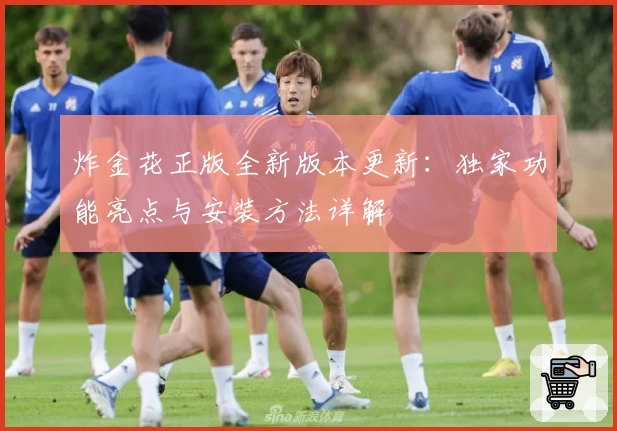 炸金花正版全新版本更新：独家功能亮点与安装方法详解