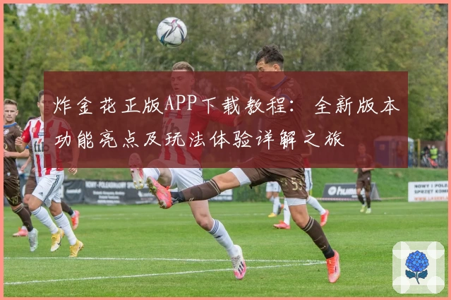 炸金花正版APP下载教程:全新版本功能亮点及玩法体验详解之旅